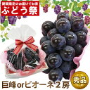 【 ぶどう祭WEEK 発送期間限定特価 】巨峰 または ピオーネ 2房セット 敬老の日 早割 詰め合わせ ギフト プレゼント フルーツ 内祝 出産 お祝 お礼 ...