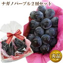 ギフト ナガノパープル 2房セット 種なし 種無 皮ごと食べられる ぶどう ブドウ 贈り物 果物 高級 フルーツ くだもの 人気 おしゃれ 誕生日 内祝 御礼 ...