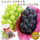 【 あす楽 即日発送 指定日 OK】 まだ間に合う 敬老の日 ギフト 2色 ぶどう セット ナガノパープル & シャインマスカット 種なし 皮ごと フルーツ プレゼント 内祝 お祝 お礼 御供 志 法...