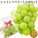 【 あす楽 即日発送 指定日OK】 ギフト シャインマスカット 2房 詰め合わせ セット 皮ごと 種なし 皮ごと食べられる 国産 ぶどう ブドウ 贈り物 高級フ...