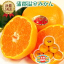 5月限定 決算SALE！糖度12度 愛知県 蒲郡産 高級 温