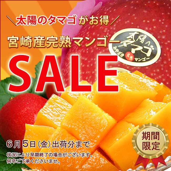 SALE【 あす楽 即日発送OK】＼今なら 太陽のタマゴ 入／ 宮崎マンゴー プレミアム ...