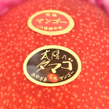 サンプル画像2