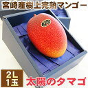 マンゴー 最高峰 宮崎マンゴー【 太陽のタマゴ 】 秀品 2Lサイズ 1個 (化粧箱) ギフト プレゼント お祝 お礼 誕生日 内祝 お供 お見舞 法事 法要 フルーツ 無料メッセージ おすすめ 人気 グルメ 喜ばれる 貰って嬉しい 高級 ラッピング 送料無料