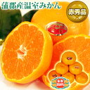 糖度12度 愛知 蒲郡産 高級 温室みかん 最高等級 Sサイズ 15個 または Mサイズ 12個 化粧箱入り 約1.1kg 化粧箱入り ギフト ハウスみかん お中元 暑中お見舞 フルーツギフト フルーツ 果物 人気 グルメ プレゼント