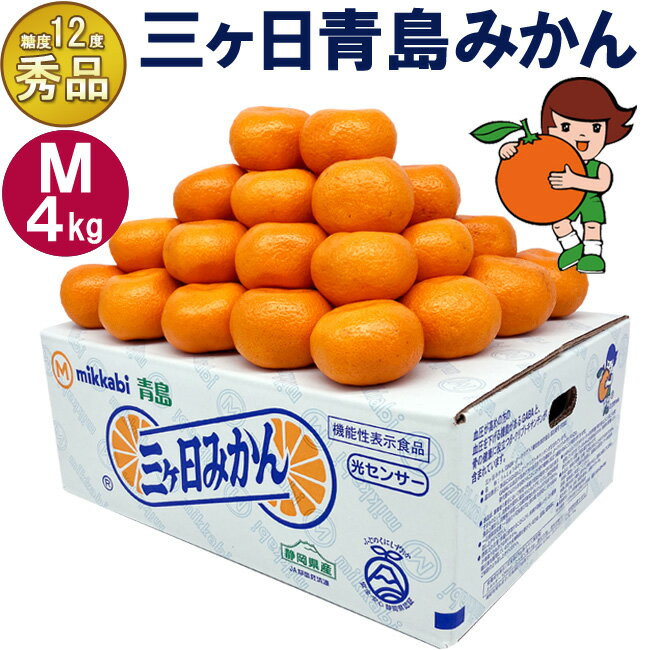 楽天市場】みかん（総個数36 ～ 47個入り）（フルーツ・果物｜食品）の通販