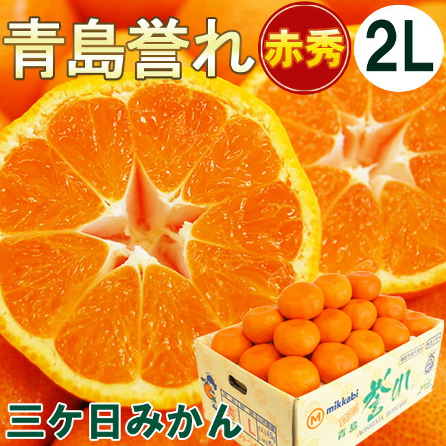 三ヶ日みかん