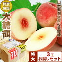 エコ梱包 山梨県御坂産【大糖領】桃 特大サイズ 3個 セット 甘い桃 最高等級 糖度 お中元 暑中お見舞 残暑お見舞 お試し 全国発送 お返し
