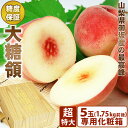 \期間限定【超】特大/山梨県御坂産 の 最高峰【 大糖領 】桃 5個 セット ( (専用化粧箱 合計1.75キロ前後)甘い桃 最高等級 糖度 お中元 暑中見舞 ...