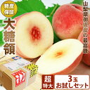 エコ梱包 \期間限定【超】特大/山梨県御坂産【大糖領】桃 3個 セット 甘い桃 最高等級 糖度 お中元 暑中お見舞 残暑お見舞 お試し 全国発送 お返し