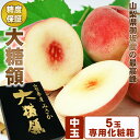 山梨県御坂産 最高峰【 大糖領 】 桃 5個 セット 中玉 専用化粧箱 甘い桃 最高等級 糖度 お中元 暑中お見舞 残暑お見舞 夏ギフト 御祝 内祝い お誕生日 お見舞い 御礼 お供え 法事 法要 志 お盆 初盆 新盆 お返し