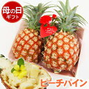 母の日ギフト パイナップル 沖縄県産 ピーチパイン 2玉 合計1.5kg前後 カーネーション メッセージタグ付き フルーツ ラッピング 送料無料トロピカルフルー...
