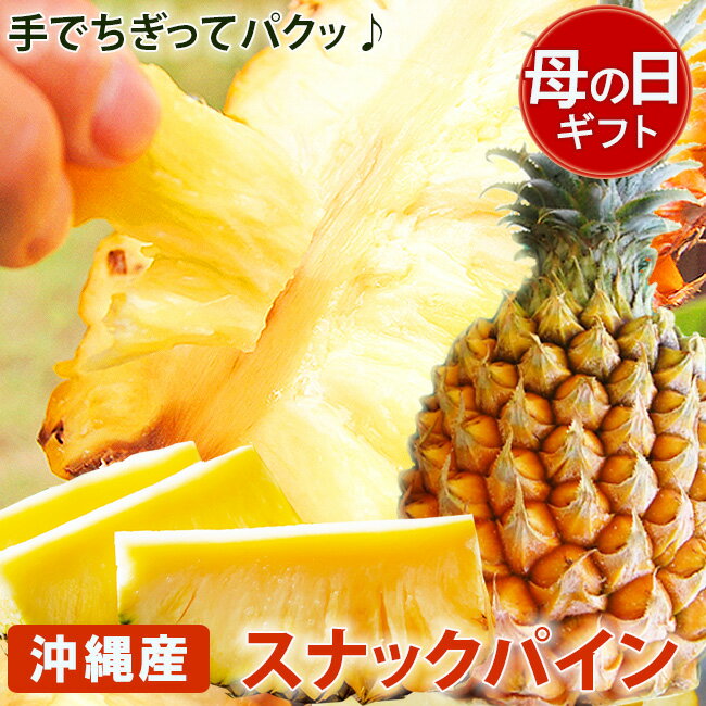 母の日ギフト 沖縄産 スナックパイン 2玉セット フルーツ ギフト 南国 トロピカル フルーツ 果物 おしゃれ 限定 メッセージカード おすすめ 人気 グルメ 高級 健康 ヘルシー プレゼント お取り寄せ