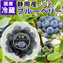 国産 大粒 生 ブルーベリー ユーリカ もしくは トワイライト 冷蔵 静岡 県 浜松 産 パ