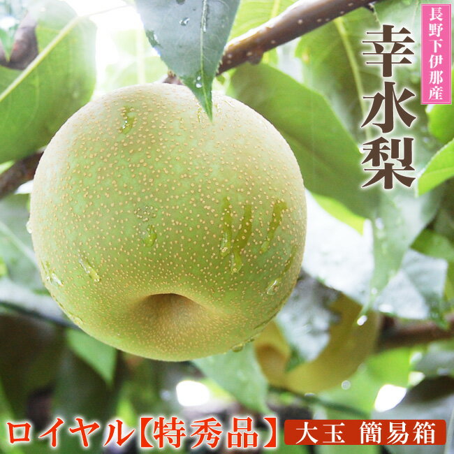 【 あす楽 16時 】 長野県 下伊那産 幸水 梨 【 ロイヤル 特秀品 】大玉 サイズ6個 合計約2.7キロ 簡易ダンボール入り 糖度12度保証 高糖度 ジューシー 梨 国産 お取り寄せ 暑中御見舞い 残暑お見舞い 御中元 誕生日 御礼 フルーツ 果物 クール便 冷蔵のサムネイル