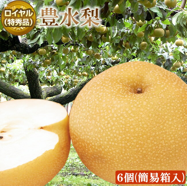 【 あす楽16時 】長野県 下伊那産 豊水 梨【ロイヤル 特秀品 】特大サイズ6個 合計2.7キロ前後 簡易ダンボール入り 糖度12度保証 高糖度 ジューシー 梨 国産 お取り寄せのサムネイル