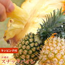 【 あす楽 即日発送 】 沖縄産 スナックパイン 2玉 セット 手でちぎって食べられる フルーツ ギフト 南国 トロピカル パイナップル 果物 リボン ラッピン...