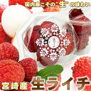 【お届日指定不可】 季節数量限定 宮崎 県産 生ライチ 秀品 1パック 約200g 約5~8粒 専用 透明パック入り 国産 フルーツ 果物 旬 熱帯 トロピカル 楊貴妃 高級 フルーツ ギフト グルメ お取り寄せ ライチ らいち