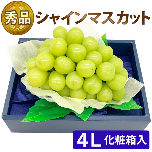 周年祭SALE 【 数量限定！あす楽 即日発送 】ギフト 特大 シャインマスカット 【 ...