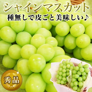 【 あす楽 16時 】 お値引しました ギフト シャインマスカット 2房セット 皮ごと食べられる 種なし 国産 ぶどう ブドウ 贈り物 フルーツ プレゼント 父の日 お中元 暑中お見舞 お盆 初盆 敬老の日 誕生日 内祝い 御礼 御祝 お見舞 お祝 お供 法事 法要 御礼 お返し 志