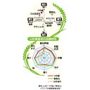 5月10日はポイント5倍！特別栽培米 「つや姫」山形県庄内産 令和5年(2023) 白米 5kg 殿や 10月上旬発送 2