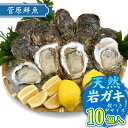 楽天スーパーSALE10%OFF!【2025年予約販売商品!】天然岩ガキ「中/10個入」(2025年7月~8月上旬発送予定)山形県 菅原鮮魚 庄内産 中サイズ 岩牡蠣 カキ 生食用 お取り寄せ 一部送料無料