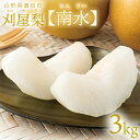刈屋梨「南水/3kg・6~9玉入(化粧箱入)」【2025年予約販売開始】山形県庄内酒田市刈屋(かりや)産 和梨 南水 3kg 6~9玉 10月上旬発送