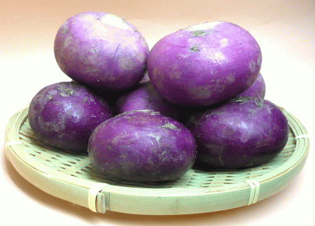 期間限定！「赤かぶ」【約1kg(袋)/山形県庄内産】｛赤かぶ漬レシピ同梱｝美味しい旬の野菜！発送期間：10月中旬～11月中旬