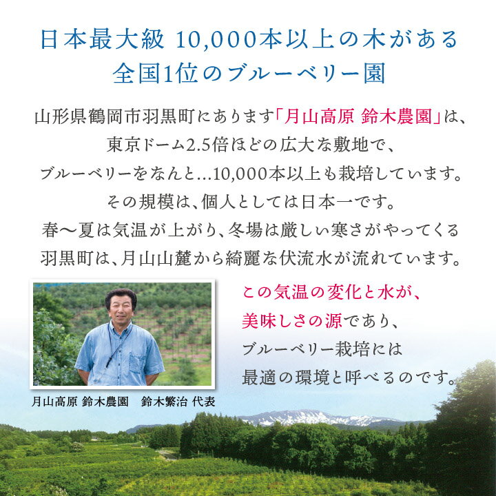 月山高原 ブルーベリージュース 【720ml/無糖】鈴木農園(山形県鶴岡市羽黒町) 土産 おみやげ お取り寄せ 特産品 ギフト グルメ 健康 濃縮 アントシアニン