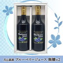 月山高原 ブルーベリージュース2本セット 鈴木農園(山形県鶴岡市羽黒町) 土産 おみやげ 健康 濃縮 アントシアニン