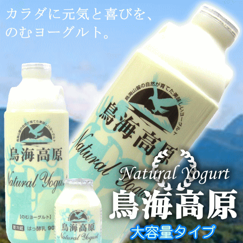【12個セット】ソル・レオーネ ゴルゴンゾーラ D.O.P. ピカンテ 300g 1863100 冷蔵商品 日欧商事【まとめ買い】