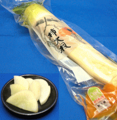 羽黒のうきょう「柿大根」【1本】山形県庄内産