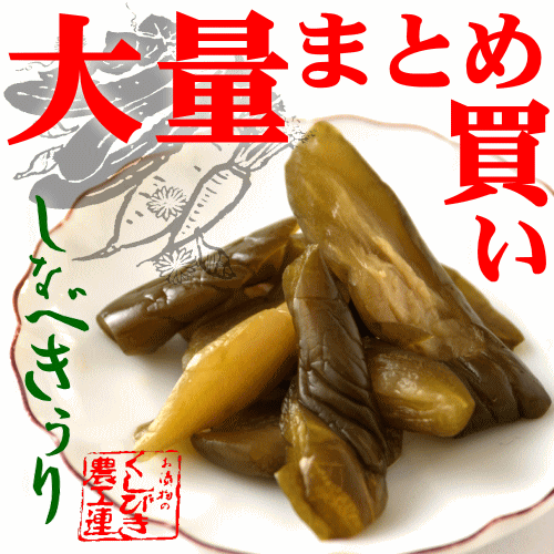 しなべきうり(箱入)
