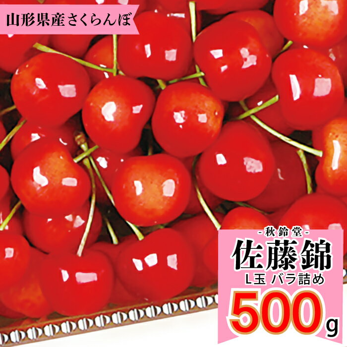 さくらんぼ 【2024年6月中旬～6月下旬発送予定】秋鈴堂「佐藤錦（約500g/バラ詰め）」(露地栽培)　山形県寒河江産　L玉バラ詰め　6月中旬～6月下旬発送　産地直送　お中元　ギフト　一部送料無料