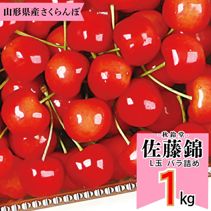 さくらんぼ 6月1日はポイント5倍！【2024年6月中旬～6月下旬発送予定】秋鈴堂「佐藤錦（約1kg/バラ詰め）」(露地栽培)　　山形県寒河江産　さくらんぼ　L玉バラ詰め　6月中旬～6月下旬発送　産地直送　お中元　ギフト　一部送料無料