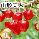 【予約販売限定】多田農園「山形美人(1kg/バラ詰め)」(露地栽培) 【2025年5月中旬〜発送予定】 山形県山辺産 さくらんぼ L~2L玉バラ詰め 5月中旬発...