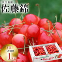 【予約販売限定】多田農園「佐藤錦(1kg/バラ詰め)」(露地栽培) 【2025年6月中旬〜6月下旬発送予定】 山形県山辺産 さくらんぼ L玉バラ詰め 6月中旬〜...
