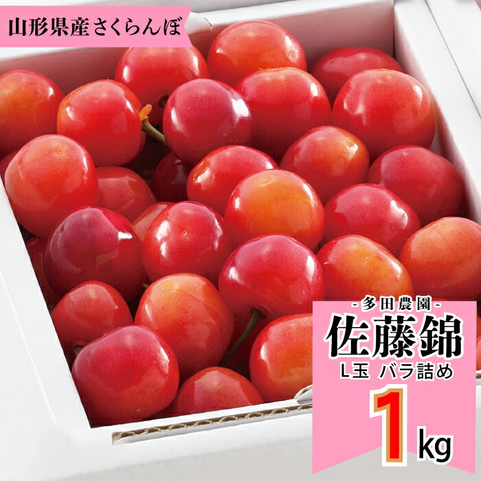 多田農園「佐藤錦（約1kg/バラ詰め）」(露地栽培)　【2024年6月中旬〜6月下旬発送予定】　山形県山辺産　さくらんぼ　L玉バラ詰め　6月中旬〜6月下旬発送　産地直送　お中元　ギフト　一部送料無料のサムネイル