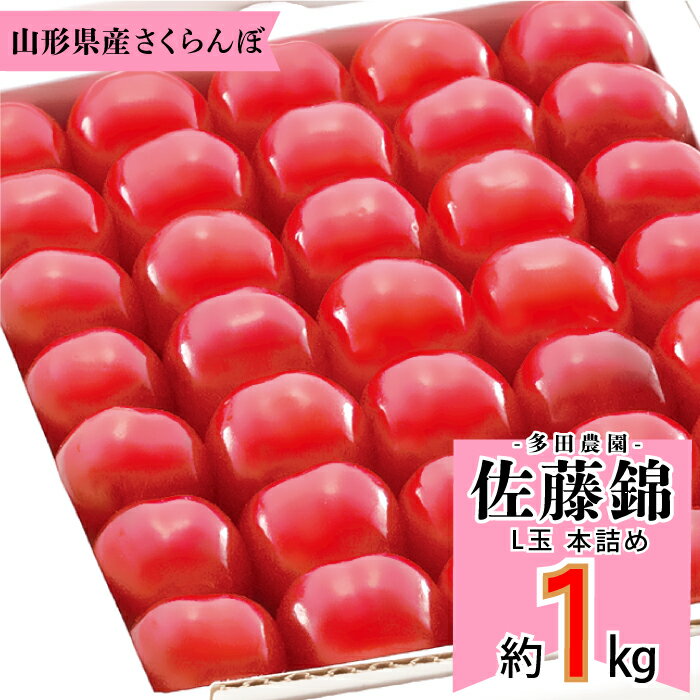 さくらんぼ 6/5水はポイント5倍！【2024年6月中旬～6月下旬発送予定】多田農園「佐藤錦（約1kg/本詰め）」(露地栽培)　山形県山辺産　さくらんぼ　L玉本詰め　6月中旬～6月下旬発送　産地直送　お中元　ギフト　一部送料無料