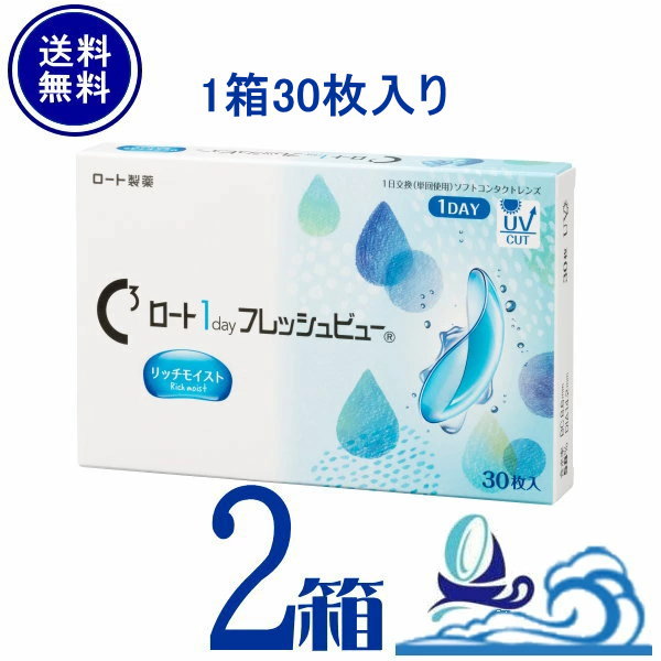 ロート ワンデーフレッシュビュー リッチモイスト 2箱（1箱30枚入）ロート製薬 1日使い捨て コンタクトレンズ ワンデータイプ 1day Flesh View h MoisRict