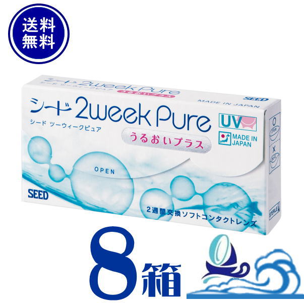 2ԥ奢뤪ץ饹 8Ȣå 1Ȣ6ˡڥݥ ̵ 2ֻȤΤ ե 󥿥ȥ󥺡 2wee...