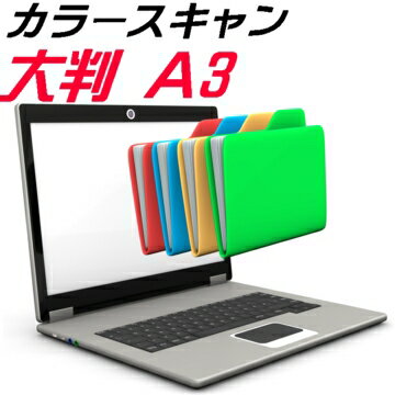 カラー スキャン A3 大判 大型 スキ