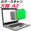 カラー スキャン A3 大判 大型 スキ