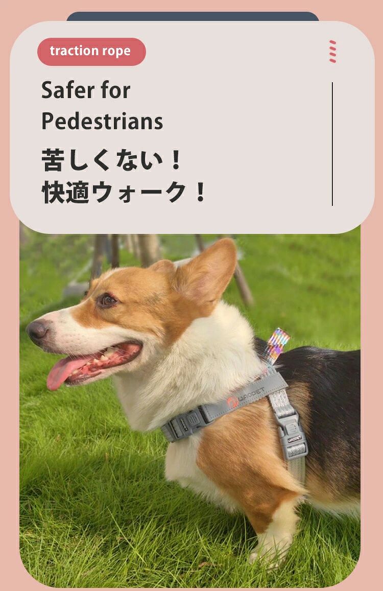 犬 ハーネス 名前 夏 ネーム 迷子札 超小型犬 胴輪 抜けない 脱げない 簡単装着 イ...