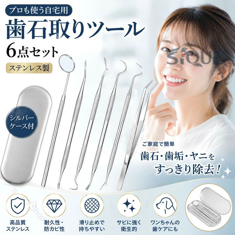 歯石取り 器具 自宅用 自分で取る スケーラー 歯垢 ヤニとり ステンレス製歯用ツール6点入り ステンレス製 先極細 デンタルツール 歯石除去 プロ仕様 敬老の日 プロも使う自宅用 デンタ
