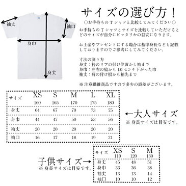 笑顔は人を幸せにする。そんなTシャツを届けたい、おもしろtシャツ研究所【給料泥棒】大爆笑必須！　部活で、会社で、お酒の席で、イベントで！　メッセージ　文字　おもしろい　笑える　ギフト