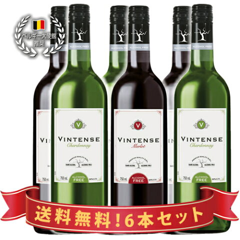 6本まとめて割引販売【送料無料|沖縄除く】美味しいノンアルコールワイン　ヴィンテンス・メルロー/シャルドネ　紅白6本セット（赤3本＆白3本）