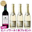 新商品試飲サンプル(ピノ・ノワール)1本プレゼント【送料無料|沖縄除く】美味しいノン
