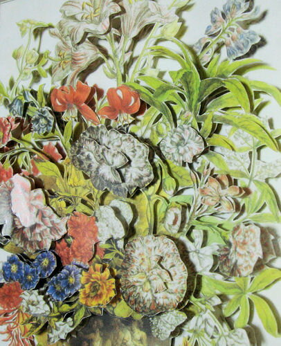 ������Ÿ���ʡ��ڷݽѤν��ۡ�����̵���۲֡����դ�Ω�γ�