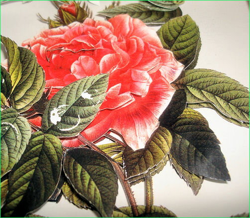 ������Ÿ���ʡ���/���골/������̵���۲�/�ե�/�֤���/����/���դ�Ω�γ�